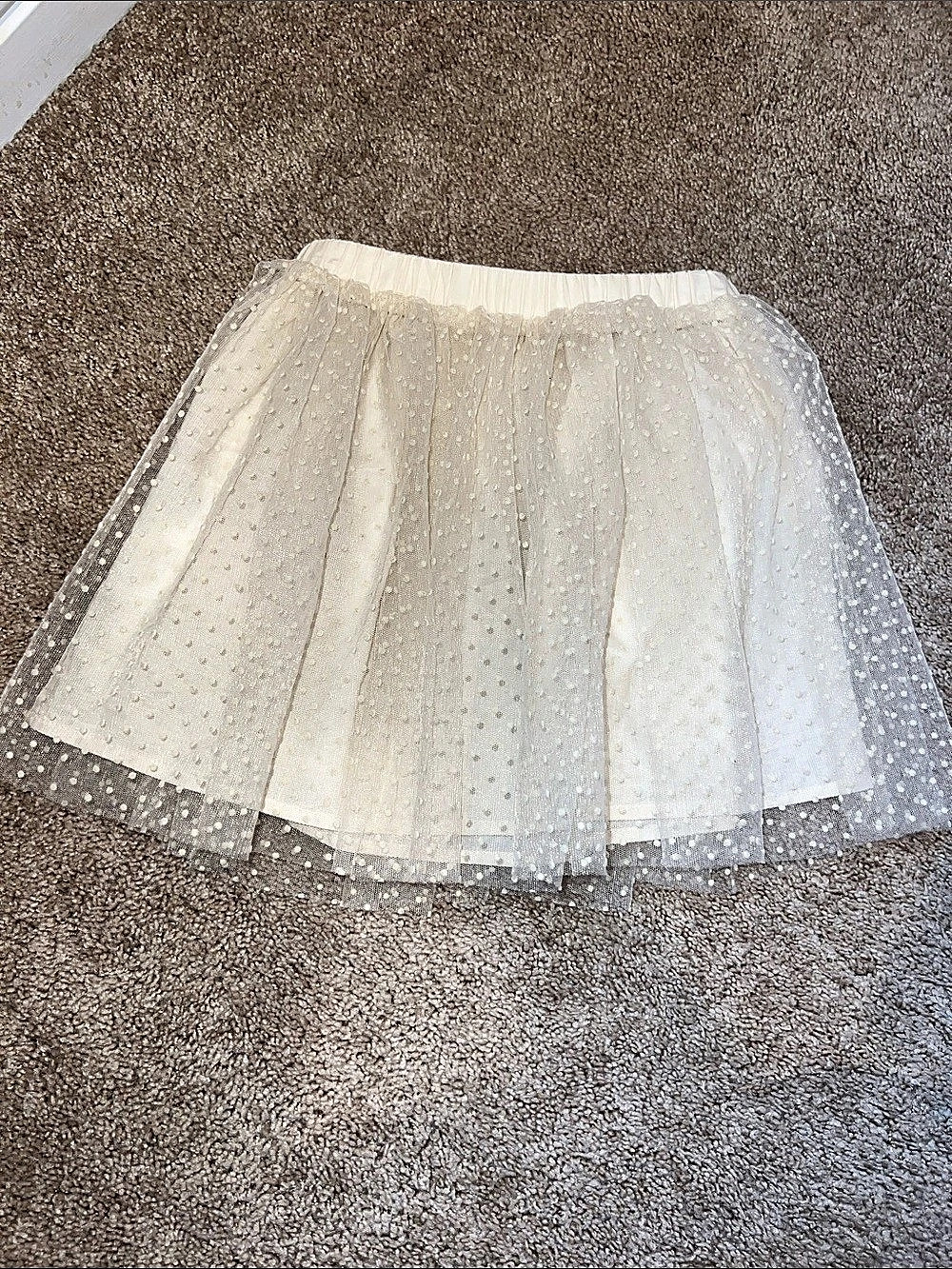 H&M Tulle Skirt
